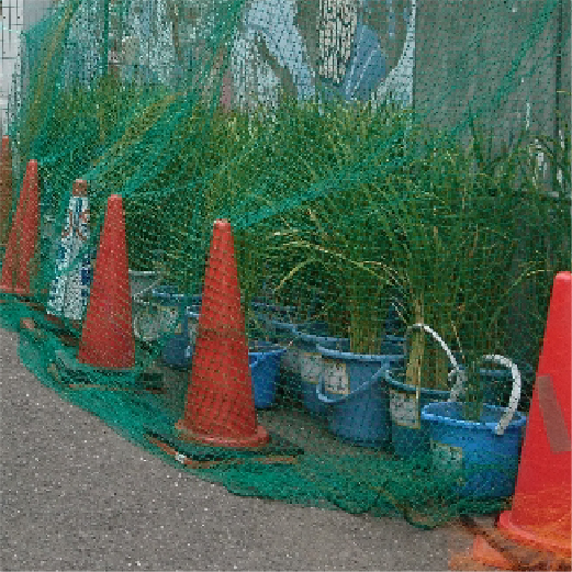 防鳥ネットの設置